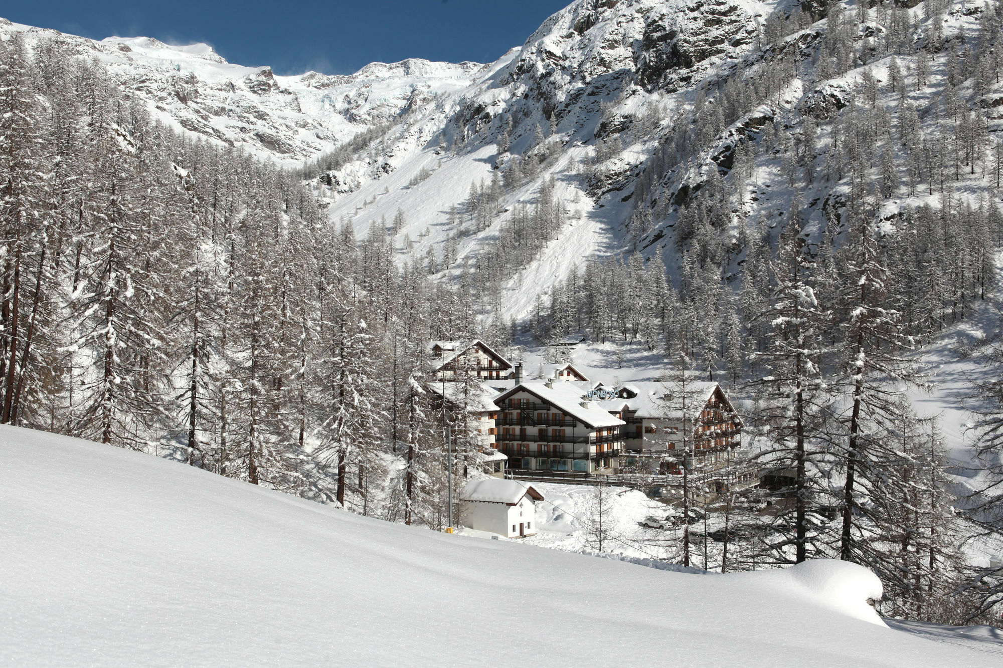 La Trinite Monboso Hotel Gressoney-La-Trinite Exterior photo